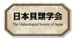 貝殻の問屋さん 世界の貝殻 自然素材 サンゴ砂を直輸入 卸売通販 Shell Retailer Wholesaler Online Sale Since 10 Japan