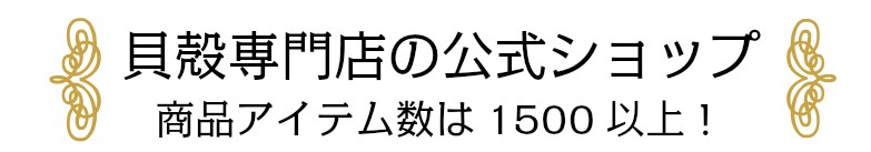 貝殻の問屋さん 世界の貝殻 自然素材 サンゴ砂を直輸入 卸売通販